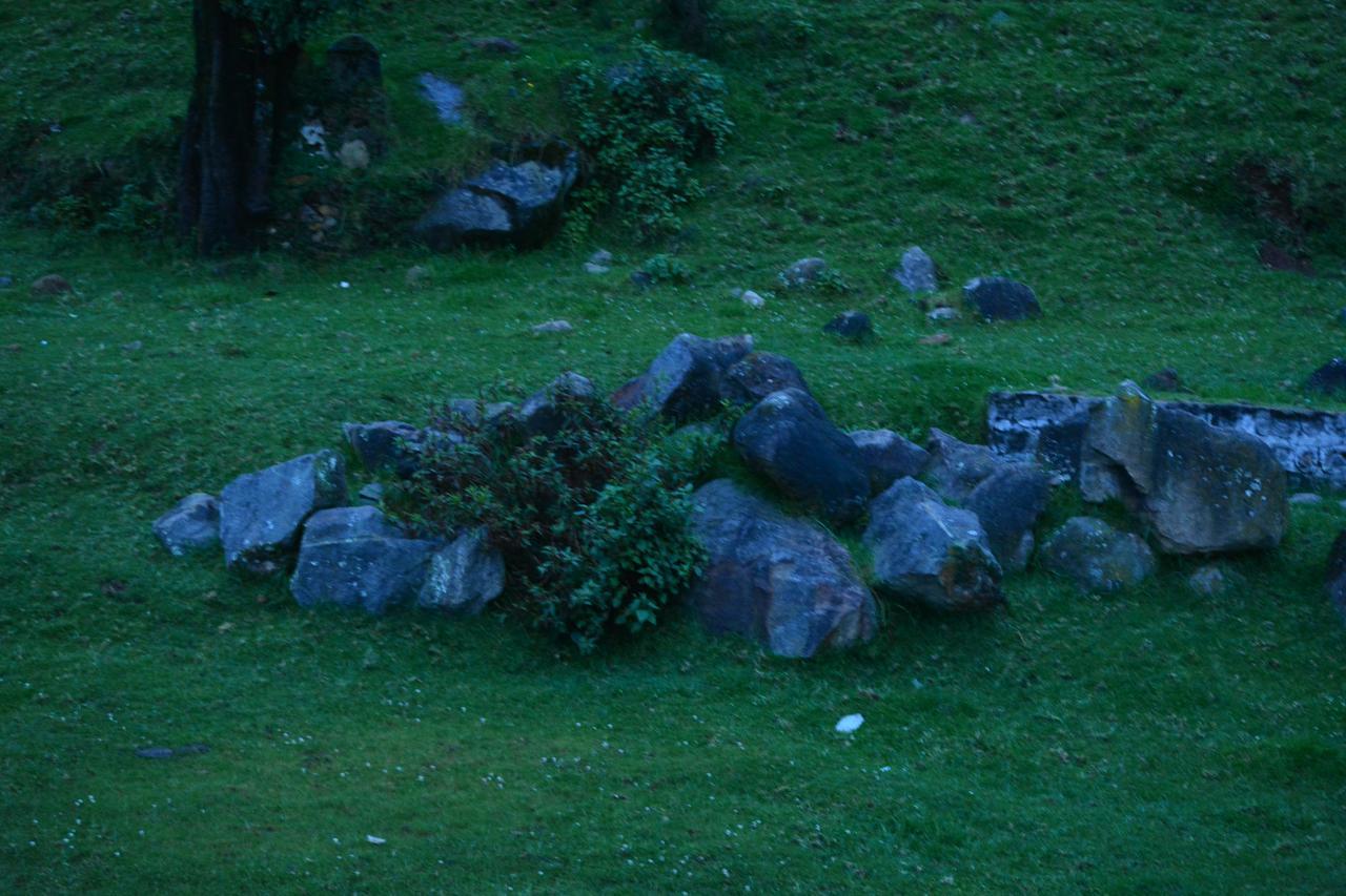 The Conerstayz Ooty Kültér fotó